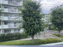 【東京都/東村山市久米川町】東村山市久米川町1丁目　新築戸建　2号棟【全2棟】 眺望