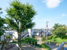 【東京都/杉並区上井草】杉並区上井草2丁目 新築戸建て 眺望