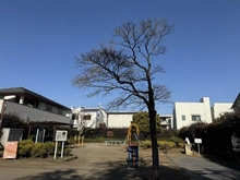 【東京都/世田谷区船橋】世田谷区船橋2丁目　中古戸建 世田谷区立船橋二丁目公園（現地より約300m）