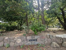 【神奈川県/川崎市中原区井田】川崎市中原区井田2丁目　新築戸建 A号棟 井田公園（現地より約110m）：公園や河川の自然を感じる落ち着いた生活はいかがでしょうか。
