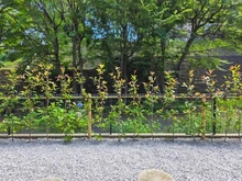 【神奈川県/横浜市青葉区奈良】横浜市青葉区奈良5丁目　中古戸建 眺望：1階テラスより