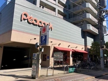 【東京都/大田区東雪谷】大田区東雪谷1丁目中古戸建 ピーコックストア石川台店（現地より約530m）