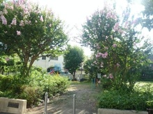 【東京都/府中市若松町】府中市若松町第7　新築戸建　1号棟 府中市若松町公園（現地より約600m）：徒歩8分