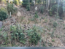 【神奈川県/横浜市戸塚区柏尾町】戸塚区柏尾町　新築戸建　A号棟／全3棟 眺望：バルコニーから　洋室約6.7帖側　