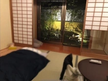 【兵庫県/西宮市苦楽園一番町】西宮市苦楽園一番町　中古戸建 和室