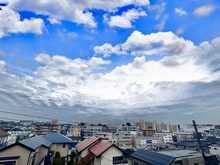 【神奈川県/横浜市青葉区青葉台】青葉区青葉台2丁目　新築戸建　2号棟 眺望