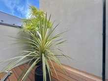 【神奈川県/横浜市青葉区あかね台】あかね台PJ バルコニー