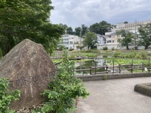 【神奈川県/横浜市港北区篠原台町】港北区篠原台町　新築戸建て　1号棟 白幡池公園（現地より約162m）