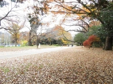 【東京都/目黒区東が丘】目黒区東が丘二丁目戸建 駒沢オリンピック公園（現地より約677m）：