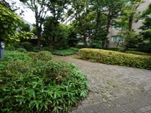 【東京都/目黒区東が丘】目黒区東が丘二丁目戸建 世田谷区立駒沢一丁目公園（現地より約450m）：