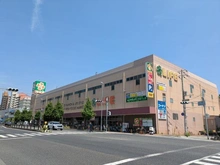 【兵庫県/神戸市東灘区本山中町】神戸市東灘区本山中町四丁目　中古戸建 ライフ本山店（現地より約680m）：