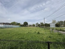 【東京都/江戸川区西篠崎】江戸川区西篠崎1丁目 新築戸建E号棟 江戸川区立篠崎公園（現地より約10m）
