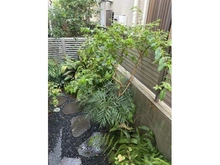 【東京都/大田区久が原】久が原5丁目戸建て 庭：和風庭園