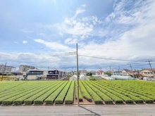 【埼玉県/所沢市東狭山ケ丘】所沢市東狭山ヶ丘3丁目　13号棟　新築戸建て 眺望