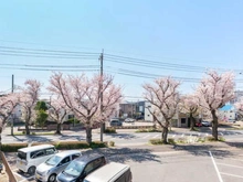 【千葉県/八千代市萱田】千葉県八千代市萱田 一戸建て 春には桜並木が一面に広がり、四季の移ろいを感じられます。