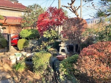 【千葉県/松戸市常盤平】松戸市常盤平1丁目 中古一戸建て ガーデニングや家庭菜園で緑の潤い溢れる暮らしを