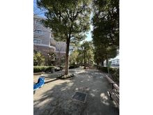 【千葉県/流山市東初石】ウッドパーク初石　A棟 広場