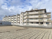 【兵庫県/伊丹市昆陽東】セントラル伊丹昆陽 外観：2026年1月撮影