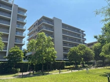 【神奈川県/横浜市港北区綱島上町】グリーンサラウンドシティ五番街O棟 外観：外観