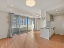 【神奈川県/川崎市中原区小杉町】エクラスタワー武蔵小杉 LDK