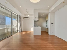 【神奈川県/川崎市中原区小杉町】エクラスタワー武蔵小杉 LDK