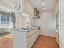 【神奈川県/川崎市中原区小杉町】エクラスタワー武蔵小杉 キッチン