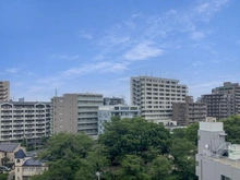 【埼玉県/さいたま市南区文蔵】ヒルズ南浦和パークグランデージ 眺望