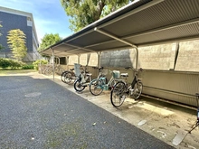 【千葉県/柏市根戸】アルス北柏 駐輪場
