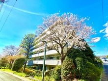 【千葉県/流山市加】東急ドエルステージ21 サウスコート壱番館 外観
