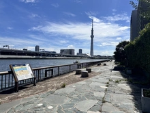 【東京都/台東区清川】パレ・ド・ルピナス南千住III 隅田川テラス（現地より約700m）