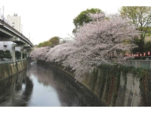 【東京都/文京区関口】サンウッド目白台 江戸川公園（現地より約230m）