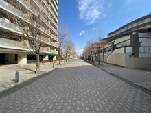 【神奈川県/大和市中央林間】セ・パルレ中央林間 5番館 前面道路