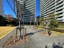 【神奈川県/海老名市扇町】グレーシアタワーズ海老名イースト 敷地内