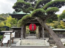 【神奈川県/鎌倉市坂ノ下】鎌倉ビューパレス 長谷寺（現地より約990m）