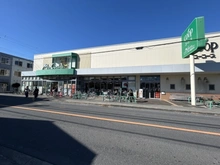 【神奈川県/茅ヶ崎市鶴が台】オハナ茅ヶ崎 ユーコープミアクチーナ茅ヶ崎高田店（現地より約220m）