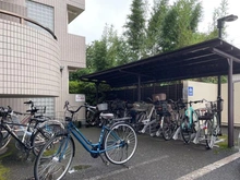 【神奈川県/茅ヶ崎市ひばりが丘】コスモ茅ヶ崎ベルセーヌ 駐輪場