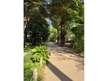 【東京都/新宿区新宿】エクセレント新宿文化センター通り 新宿御苑（現地より約800m）