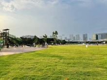 【東京都/江東区有明】シティタワーズ東京ベイ　セントラルタワー 有明親水海浜公園（現地より約950m）：