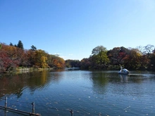 【東京都/武蔵野市御殿山】井の頭第2パークサイドマンション 井の頭恩賜公園（現地より約60m）