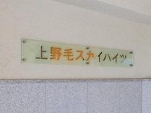 【東京都/世田谷区上野毛】上野毛スカイハイツ マンション表札