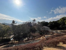 【神奈川県/厚木市森の里】ダイヤモンドライフ森の里 若宮公園（現地より約30m）