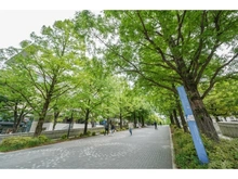 【神奈川県/横浜市西区花咲町】プラウド横浜桜木町 グランモール公園（現地より約600m）