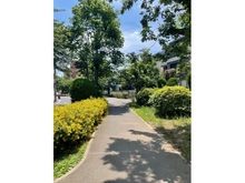 【東京都/世田谷区船橋】ヴィークグラン世田谷千歳船橋さくらガーデン 烏山緑道（現地より約550m）