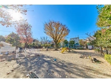 【東京都/世田谷区等々力】エクセレントシティ自由が丘IIイルミナ 深沢公園（現地より約50m）