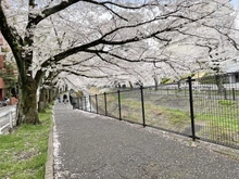 【東京都/多摩市鶴牧】ミオカステーロ多摩センター 乞田川の河川敷（現地より約10m）