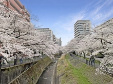 【東京都/多摩市鶴牧】ミオカステーロ多摩センター 乞田川の河川敷（現地より約100m）
