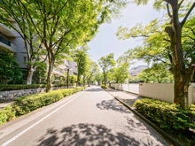 【東京都/大田区下丸子】パークハウス多摩川 南五番館 前面道路