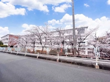 【神奈川県/鎌倉市寺分】ヴェレーナシティ鎌倉深沢 市立富士塚小学校（現地より約240m）