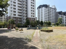 【神奈川県/横浜市都筑区南山田】港北ニュータウンビュープラザセンター北 3-6号棟 敷地内