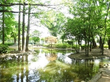 【東京都/小平市上水南町】シティパル武蔵野 つつじ公園（現地より約270m）